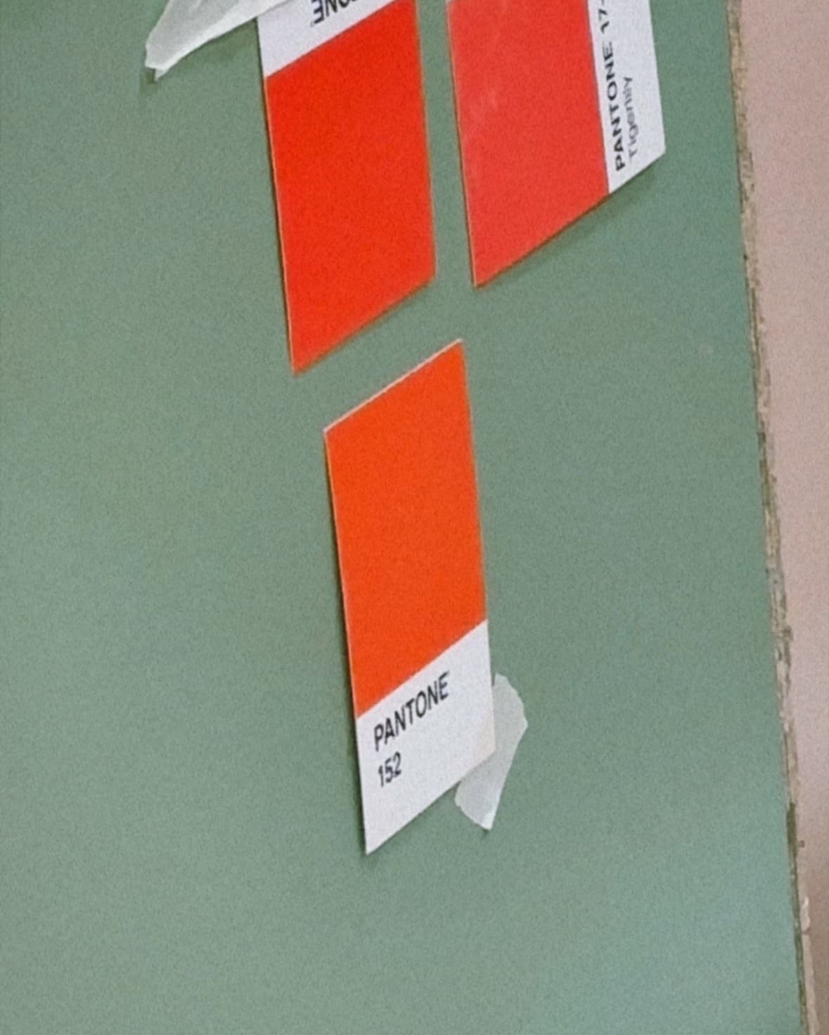 orange Pantone Farbkarten die auf einer resedergrünen Platte kleben um den richtigen Farbton zu ermitteln
